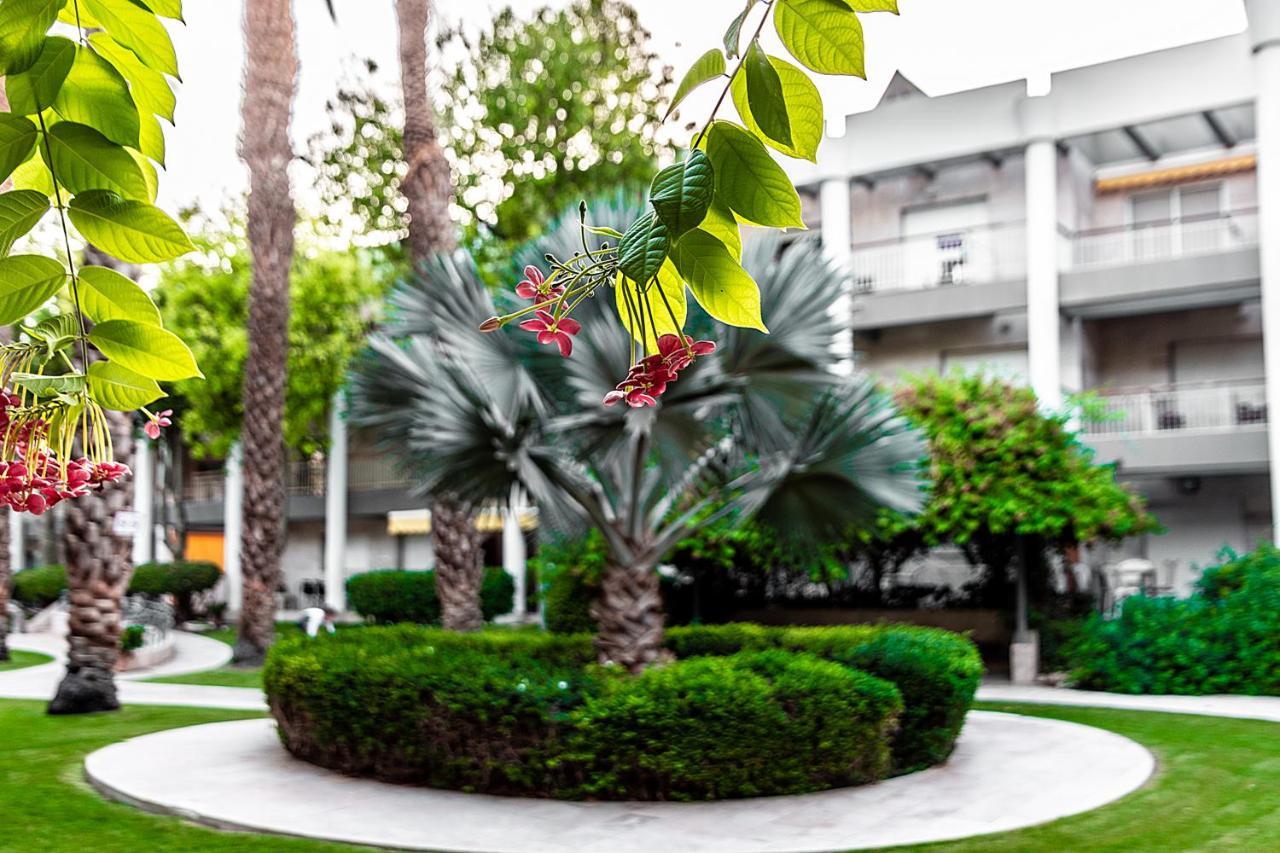 דירות דירת גן פונה לבריכה - pool garden view אילת מראה חיצוני תמונה